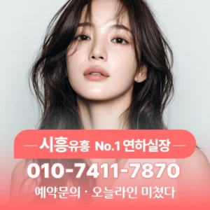 시흥하이퍼블릭